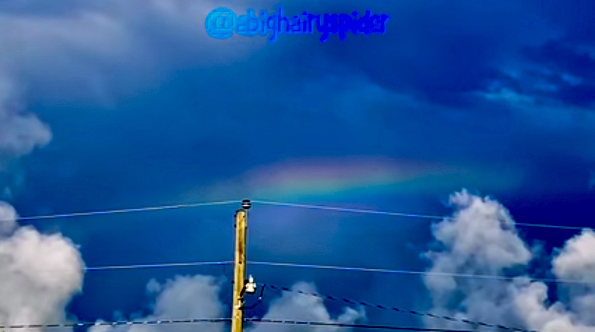 I opened the door to find this rainbow in the front yard.