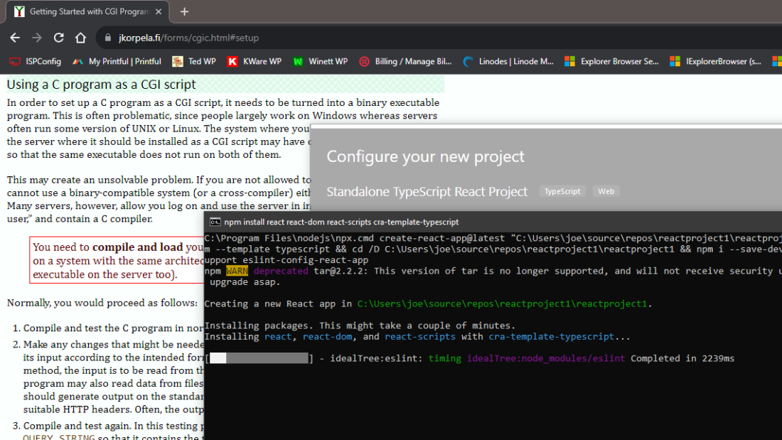 Reading “C program as CGI script” while awaiting TypeScript React Project initial build at 3mbps Download Speeds